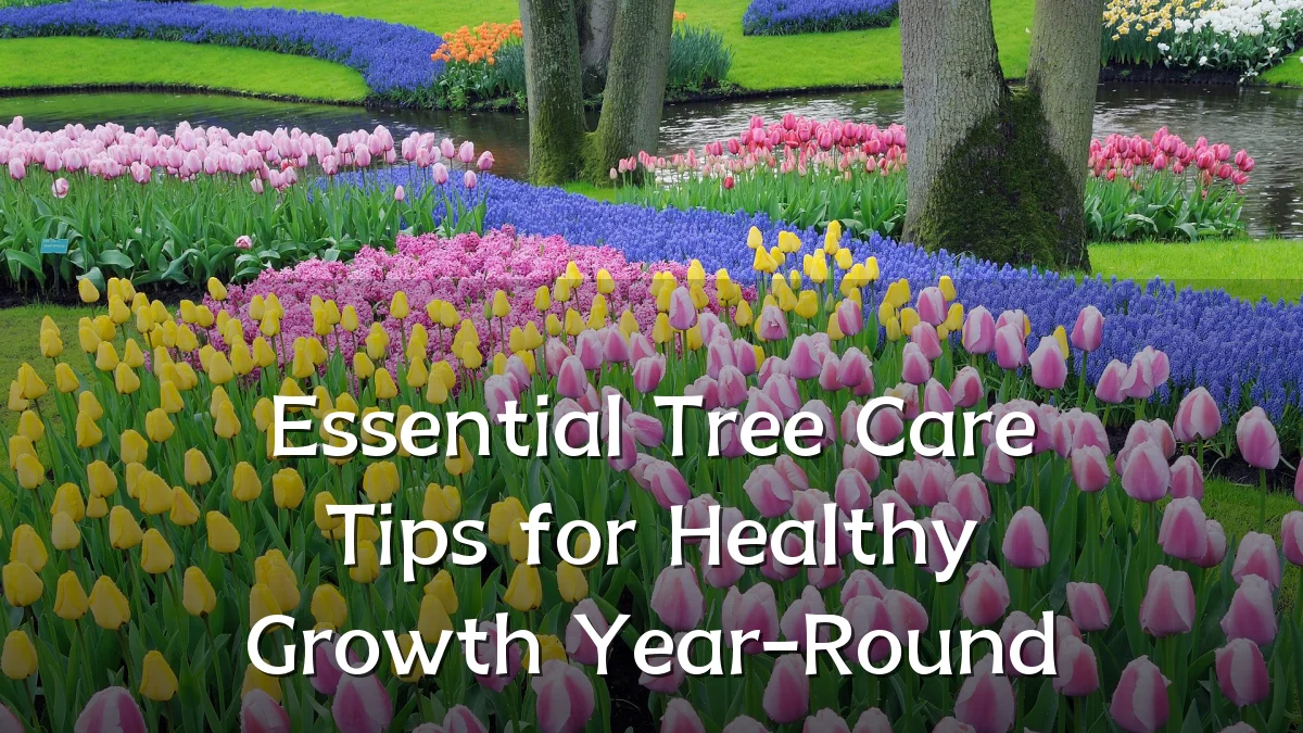 Essential Tree Care Tips for Healthy Growth Year-Round