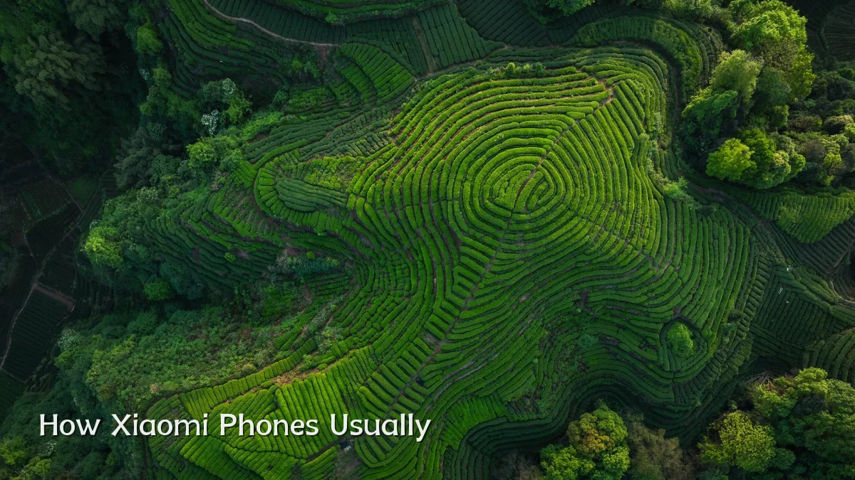 How Xiaomi Phones Usually