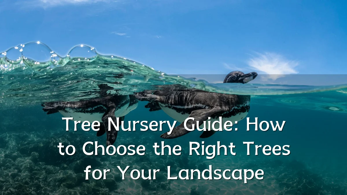 Tree Nursery Guide: How to Choose the Right Trees for Your Landscape