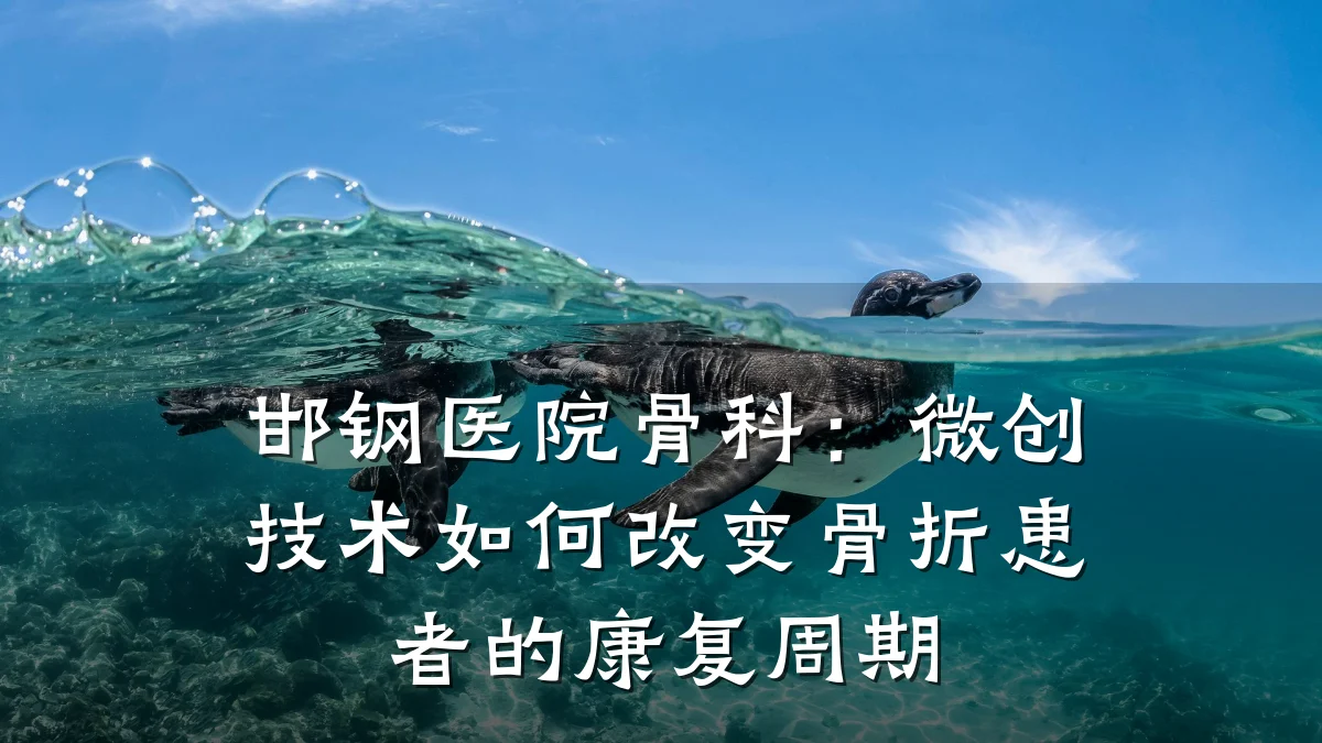 邯钢医院骨科:微创技术如何改变骨折患者的康复周期