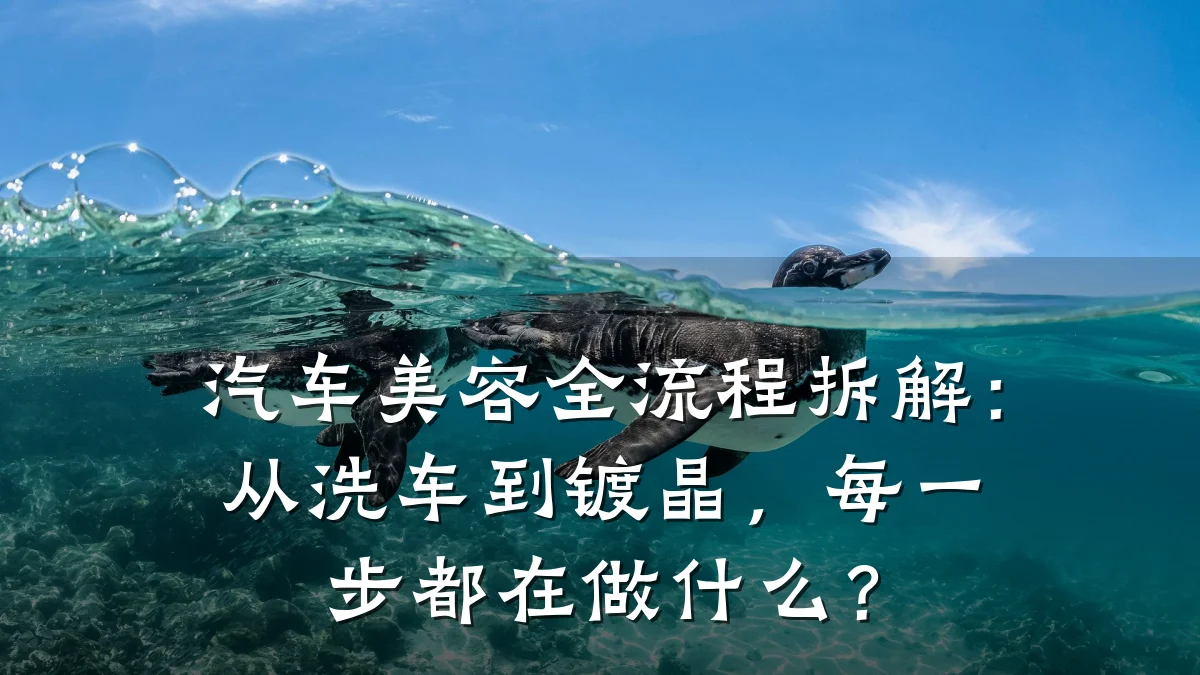 汽车美容全流程拆解:从洗车到镀晶,每一步都在做什么?