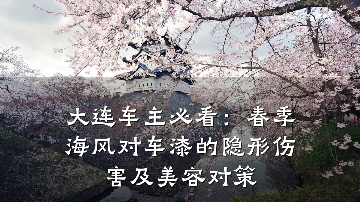 大连车主必看:春季海风对车漆的隐形伤害及美容对策