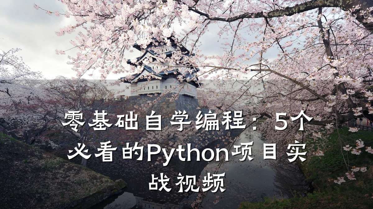 零基础自学编程:5个必看的Python项目实战视频