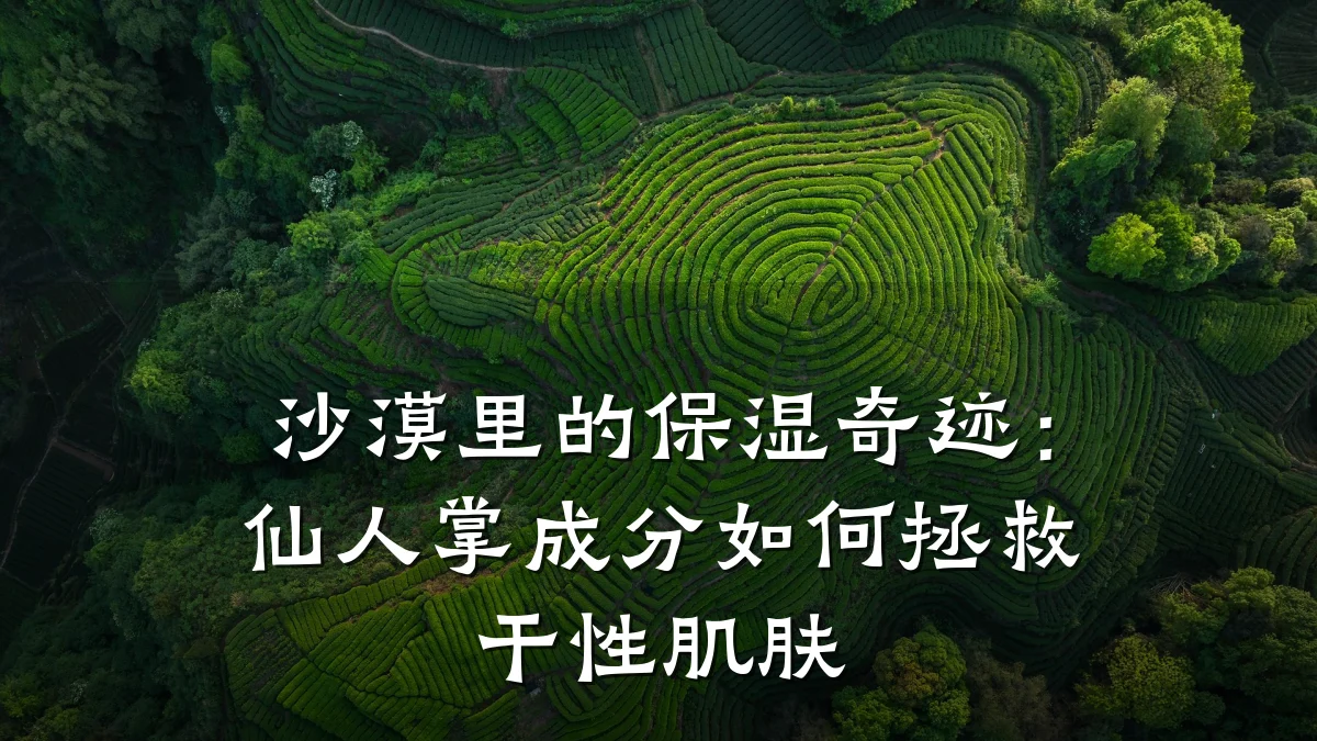 沙漠里的保湿奇迹:仙人掌成分如何拯救干性肌肤