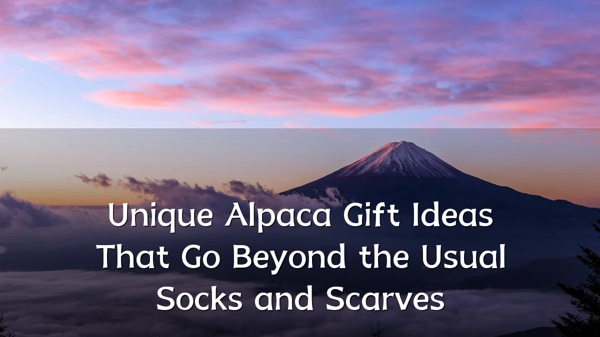 Unique Alpaca Gift Ideas That Go Beyond the Usual Socks and Scarves