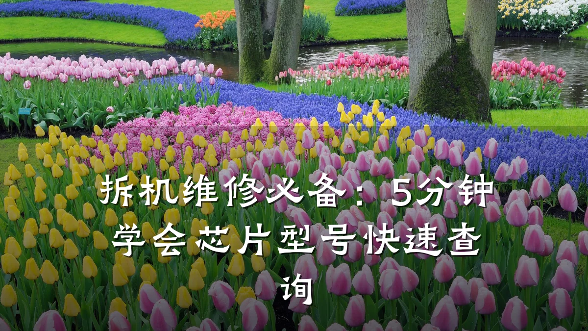 拆机维修必备:5分钟学会芯片型号快速查询