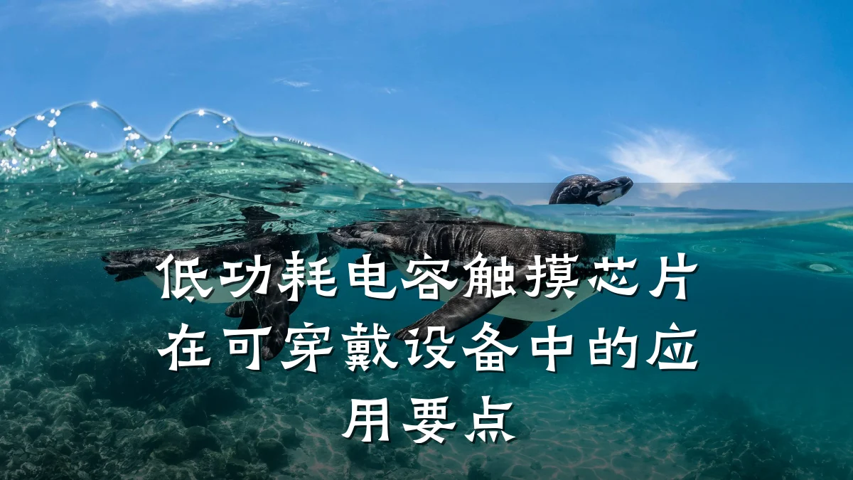 低功耗电容触摸芯片在可穿戴设备中的应用要点