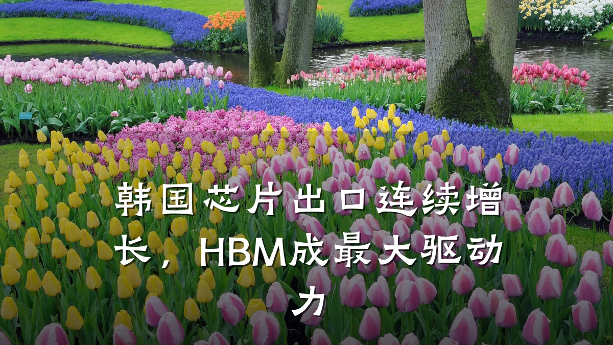 韩国芯片出口连续增长,HBM成最大驱动力