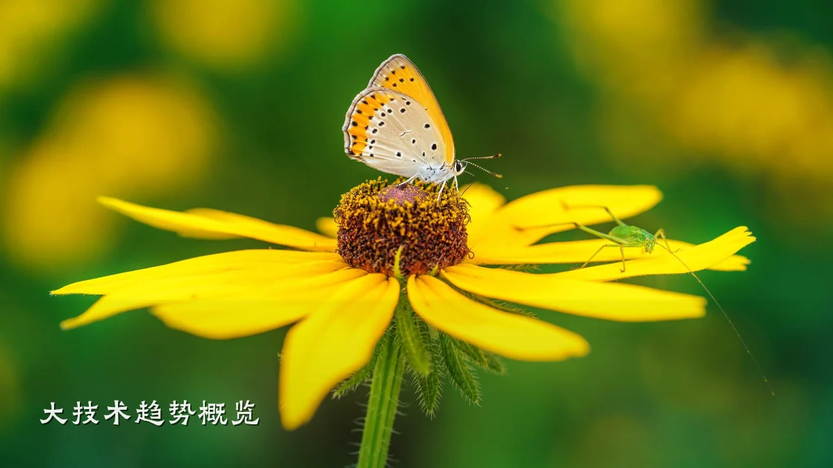 大技术趋势概览