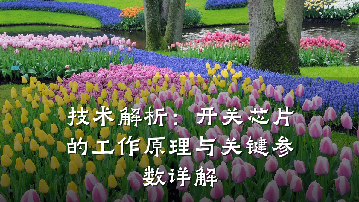 技术解析:开关芯片的工作原理与关键参数详解