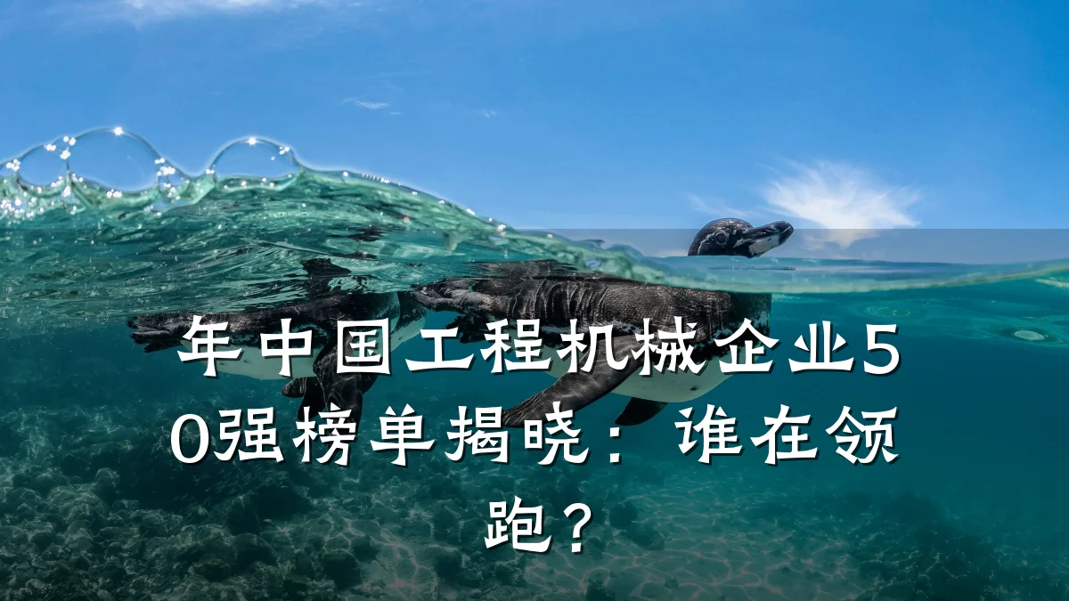 年中国工程机械企业50强榜单揭晓：谁在领跑？