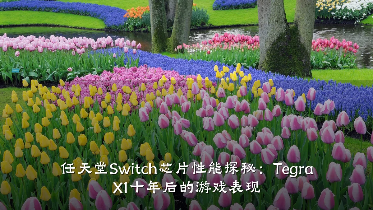 任天堂Switch芯片性能探秘:Tegra X1十年后的游戏表现