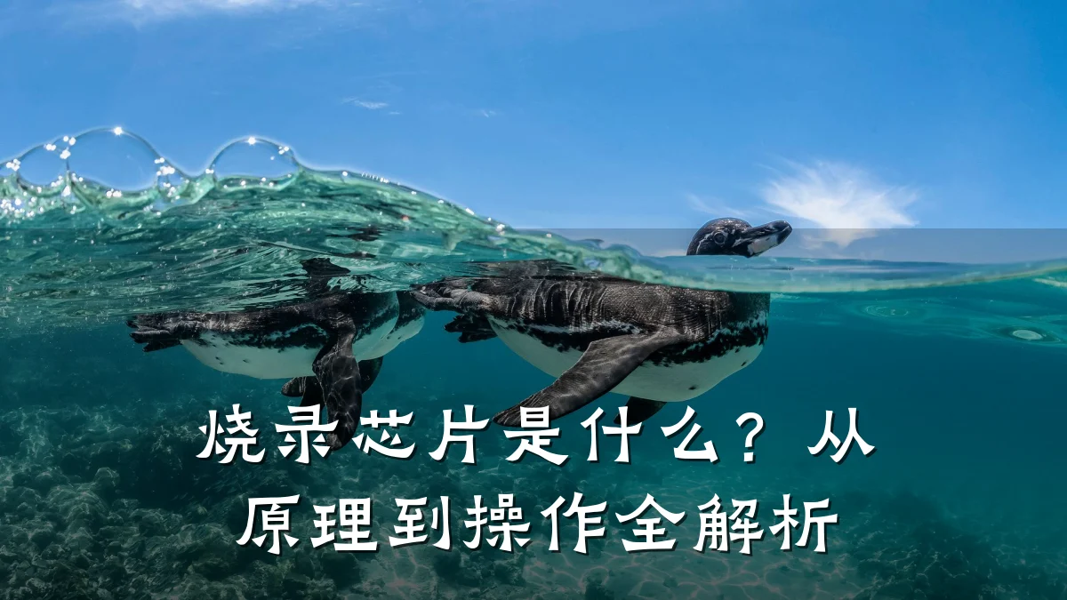 烧录芯片是什么?从原理到操作全解析