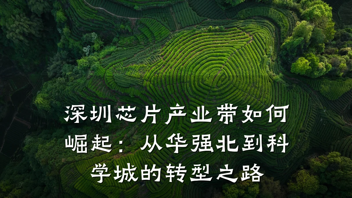 深圳芯片产业带如何崛起:从华强北到科学城的转型之路