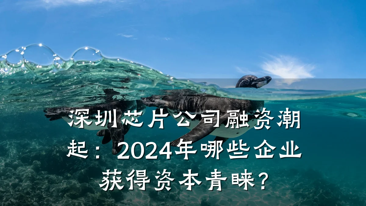 深圳芯片公司融资潮起:2024年哪些企业获得资本青睐?