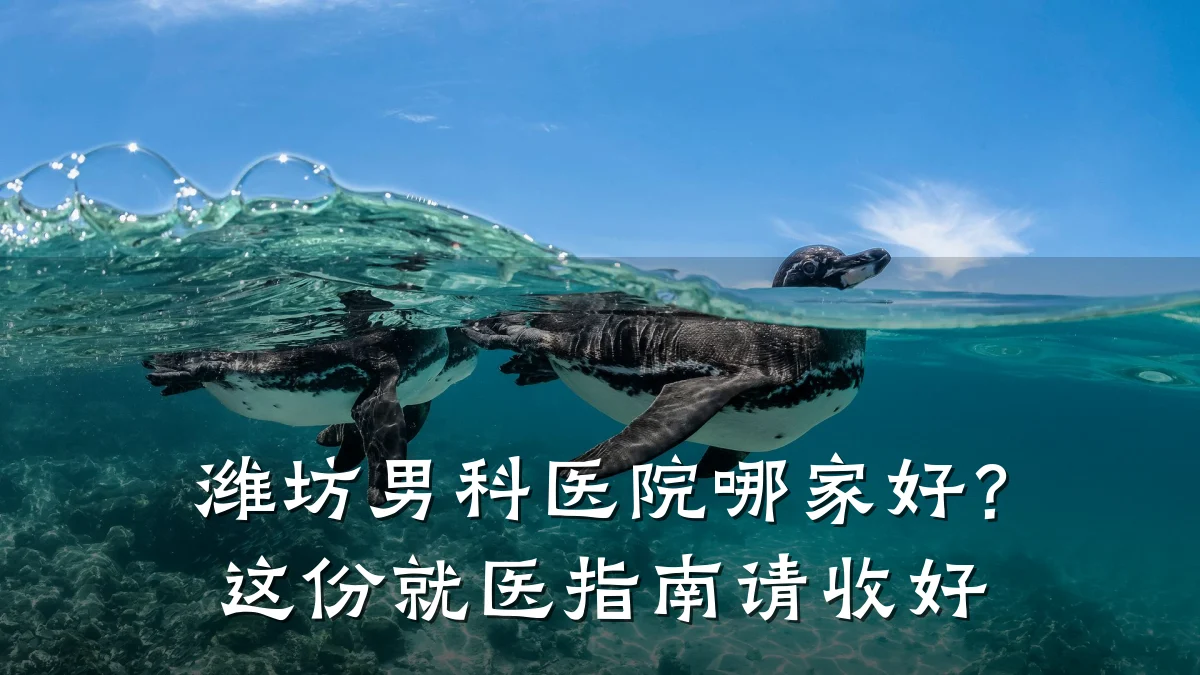 潍坊男科医院哪家好？这份就医指南请收好