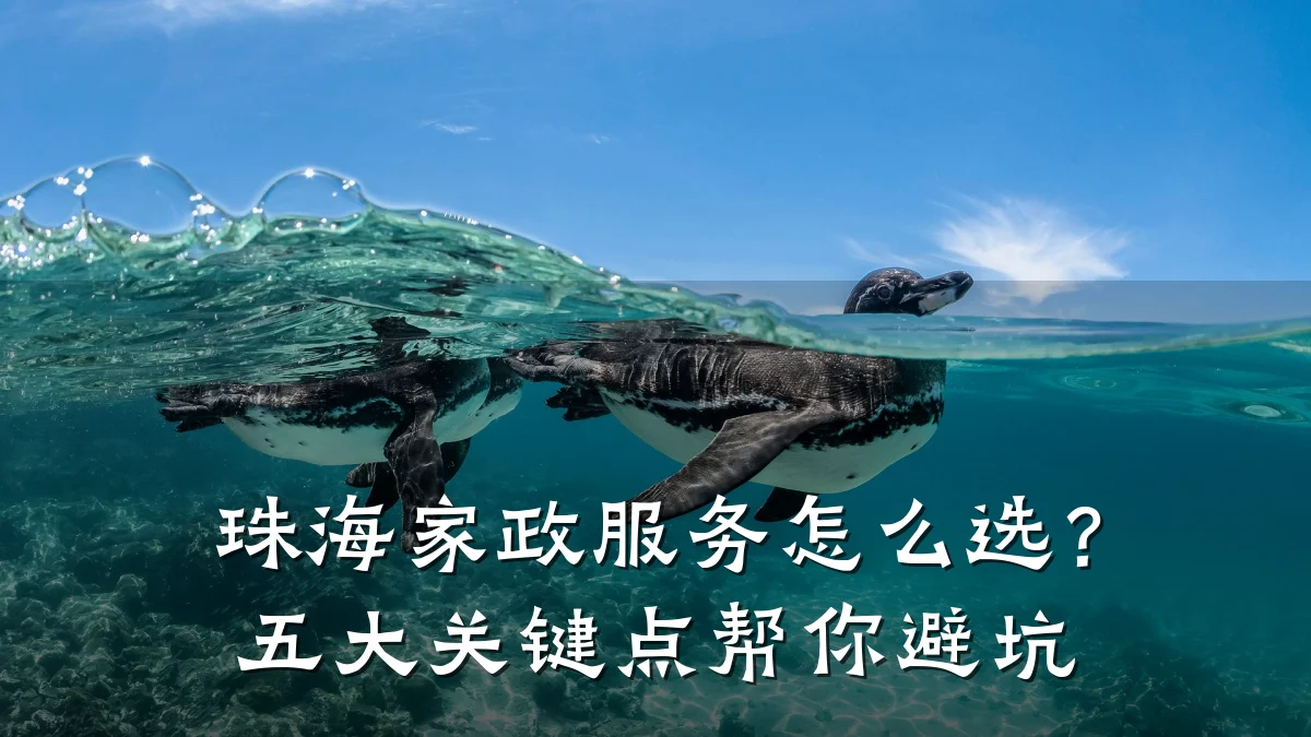 珠海家政服务怎么选?五大关键点帮你避坑