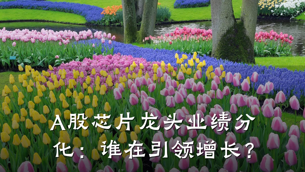 A股芯片龙头业绩分化:谁在引领增长?