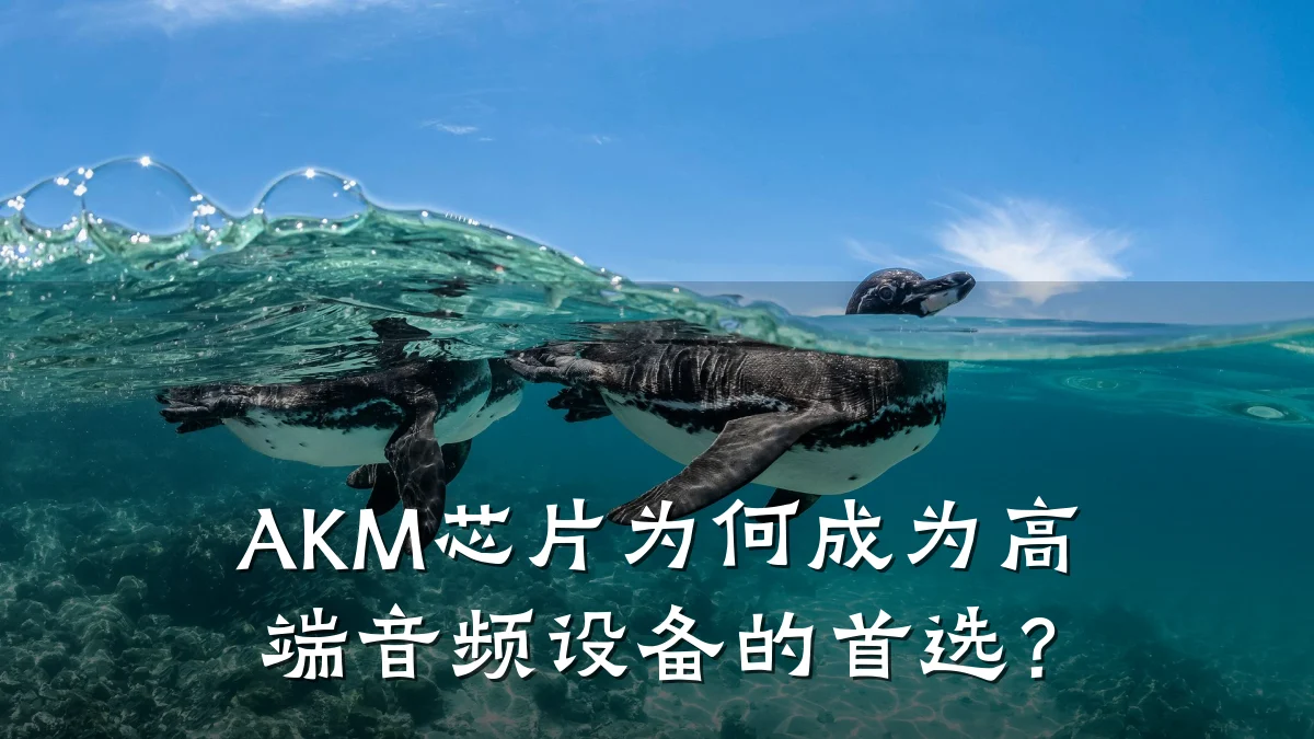 AKM芯片为何成为高端音频设备的首选?