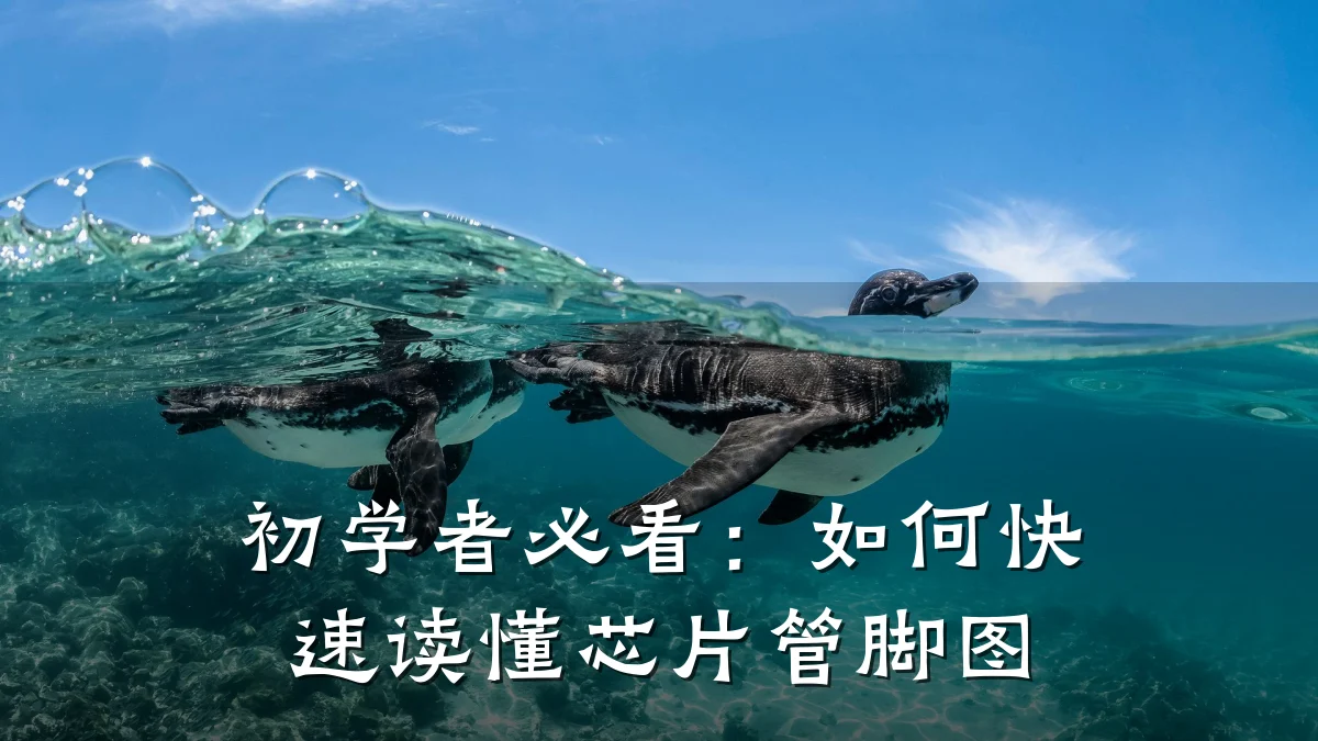 初学者必看:如何快速读懂芯片管脚图