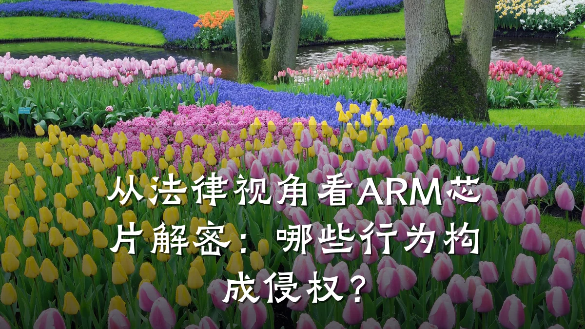 从法律视角看ARM芯片解密:哪些行为构成侵权?