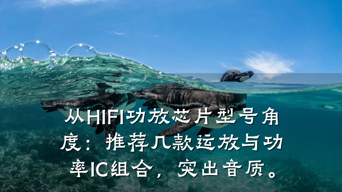 从HIFI功放芯片型号角度:推荐几款运放与功率IC组合,突出音质。