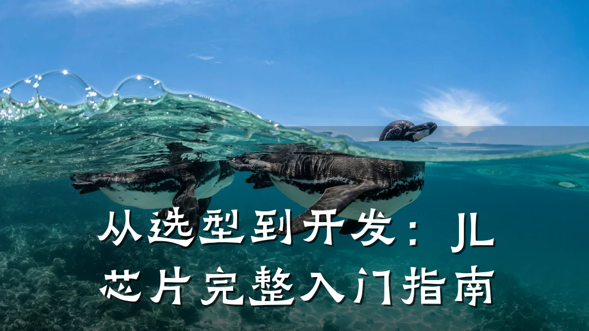 从选型到开发:JL芯片完整入门指南