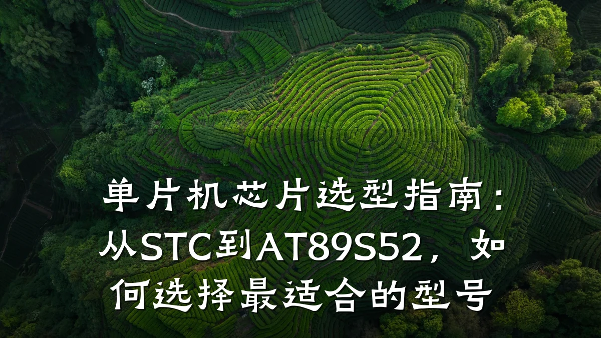 单片机芯片选型指南：从STC到AT89S52，如何选择最适合的型号