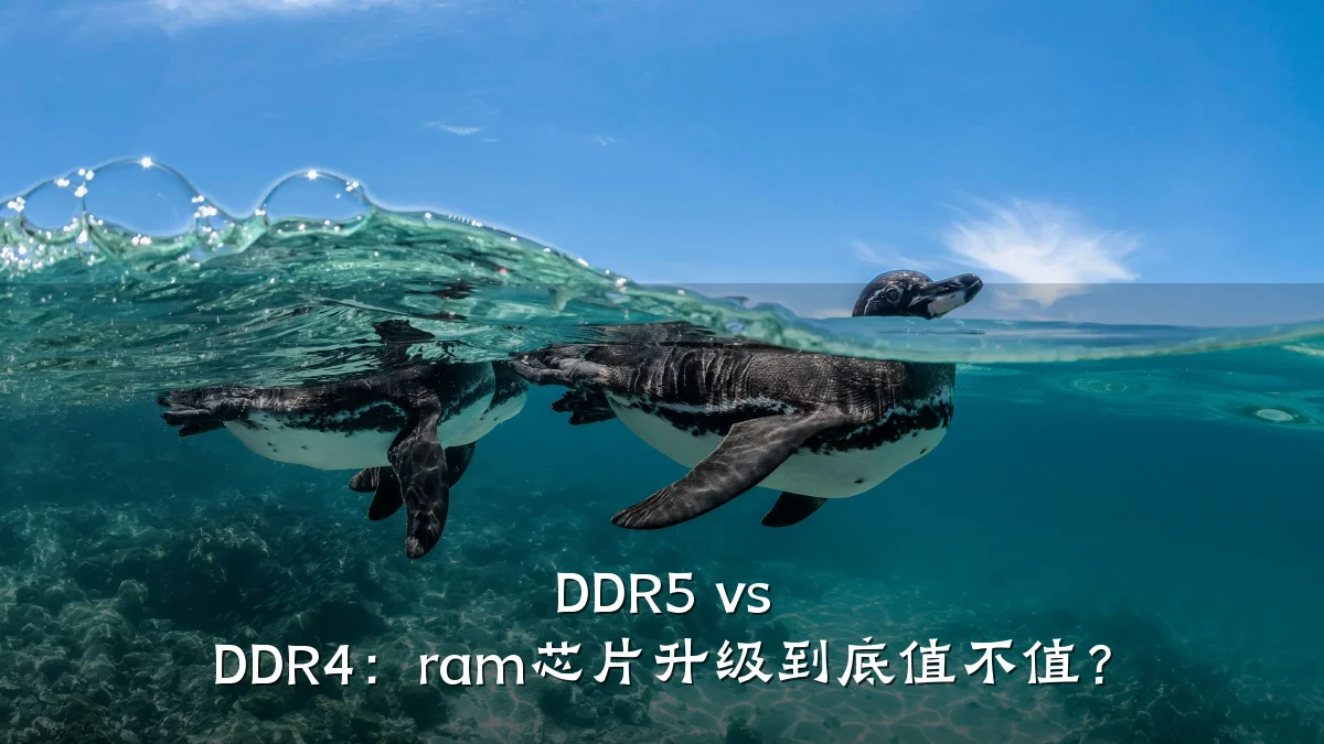 DDR5 vs DDR4:ram芯片升级到底值不值?