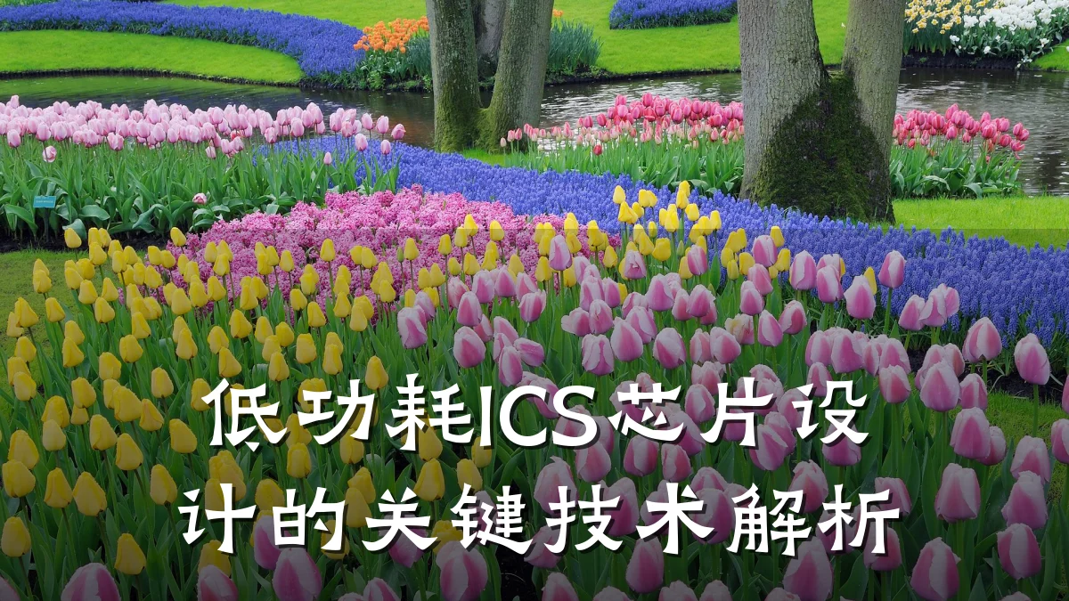 低功耗ICS芯片设计的关键技术解析