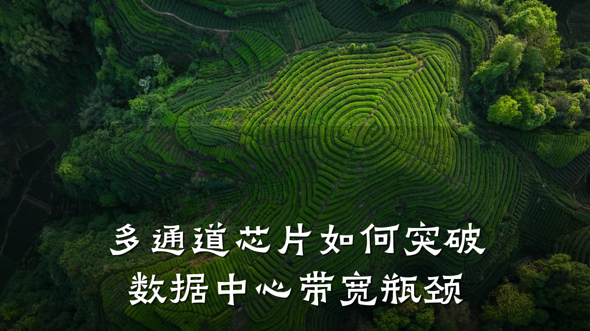 多通道芯片如何突破数据中心带宽瓶颈