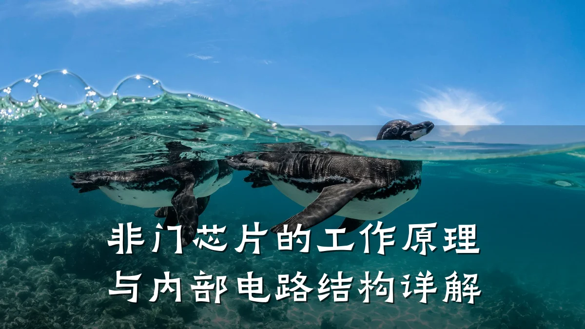 非门芯片的工作原理与内部电路结构详解