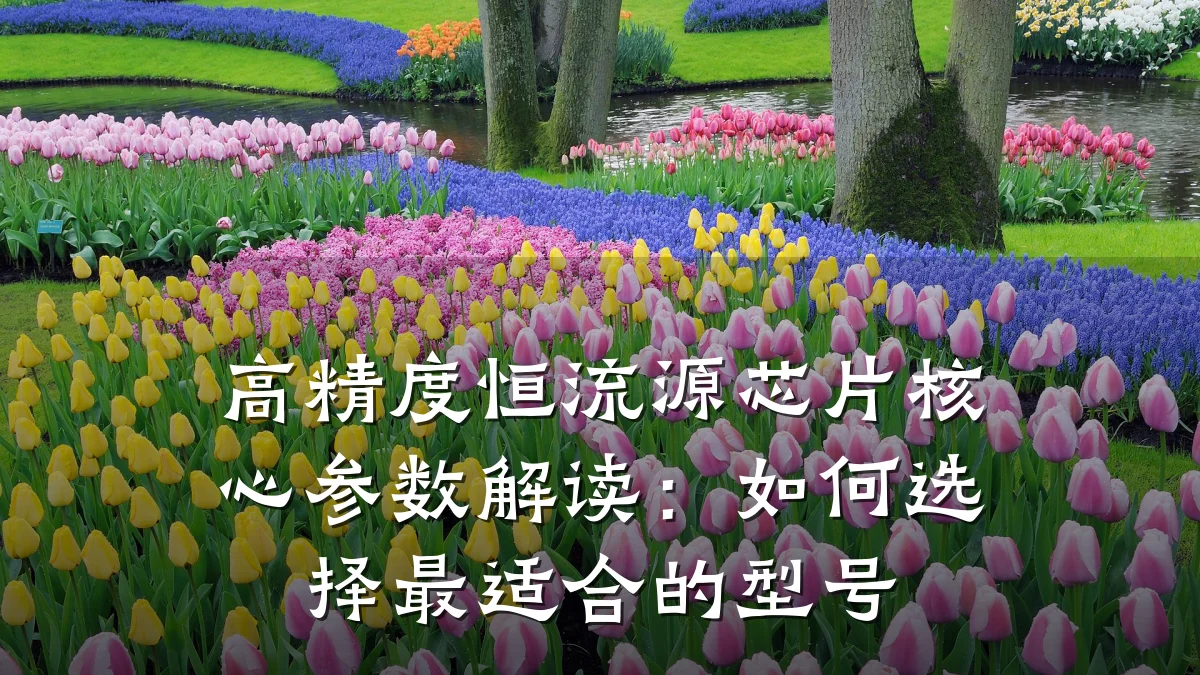 高精度恒流源芯片核心参数解读:如何选择最适合的型号