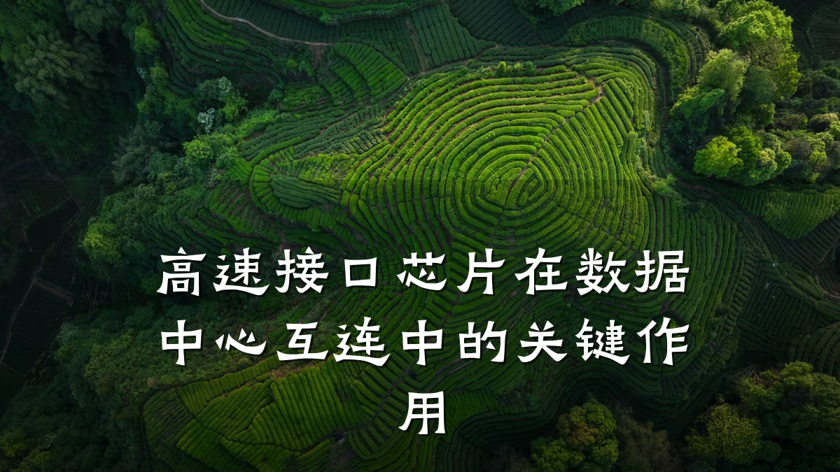 高速接口芯片在数据中心互连中的关键作用