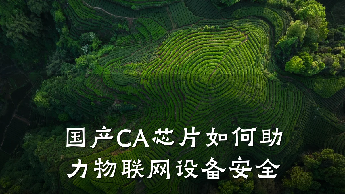 国产CA芯片如何助力物联网设备安全