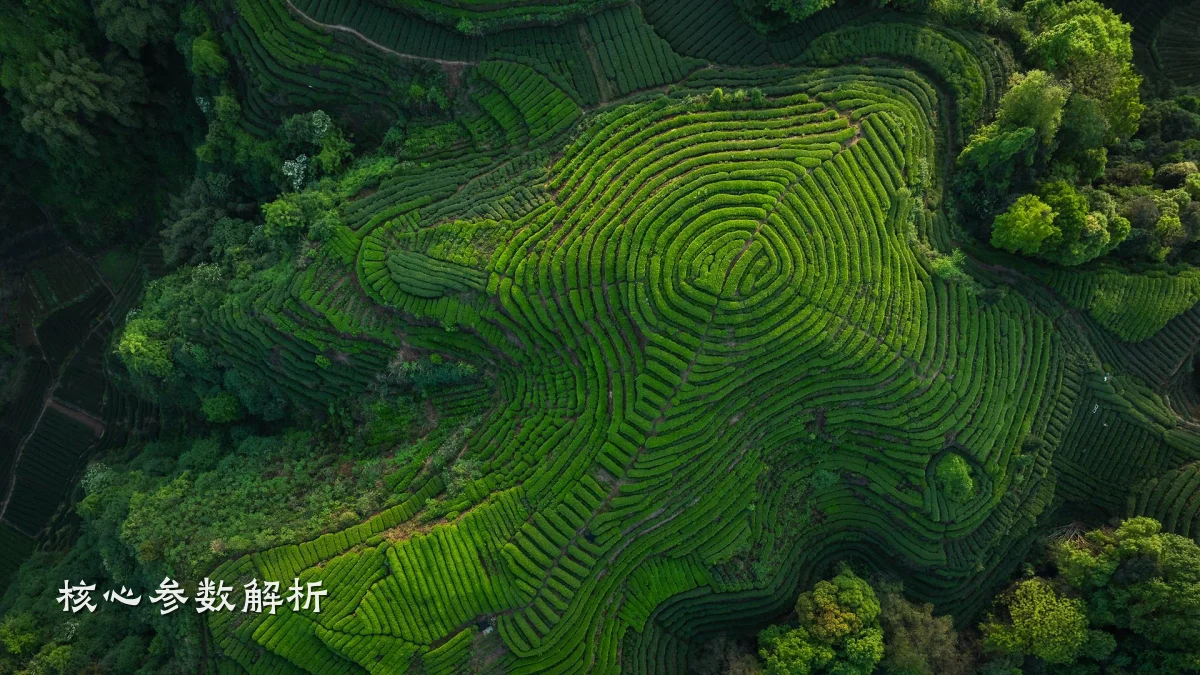 核心参数解析