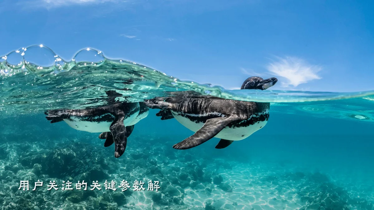 用户关注的关键参数解
