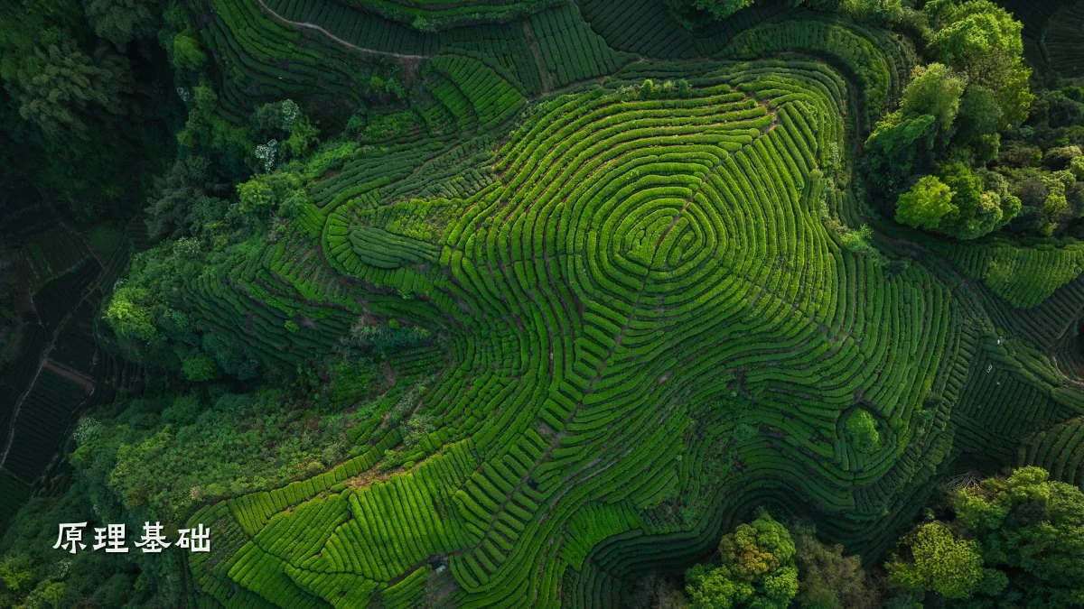原理基础
