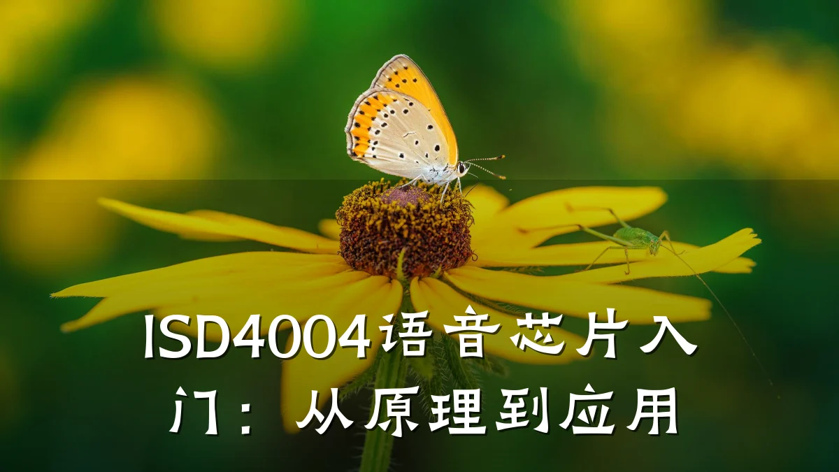 ISD4004语音芯片入门:从原理到应用