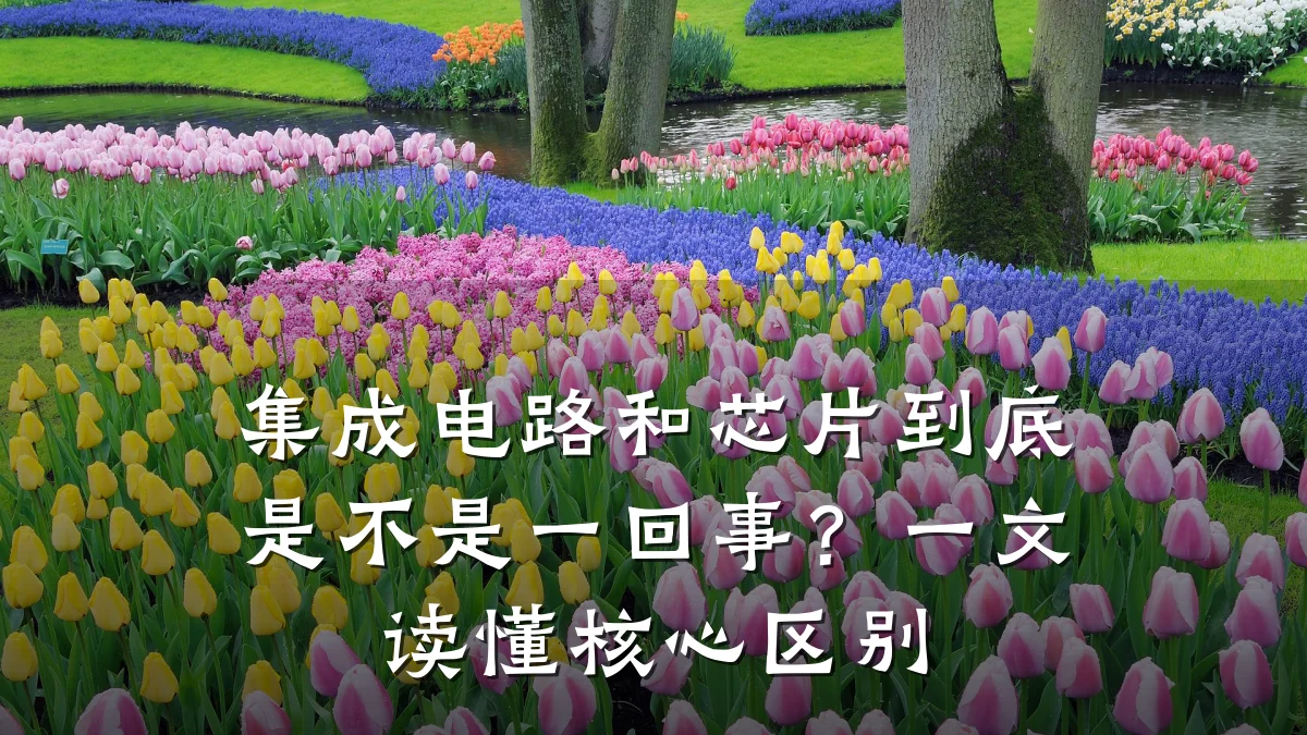 集成电路和芯片到底是不是一回事?一文读懂核心区别