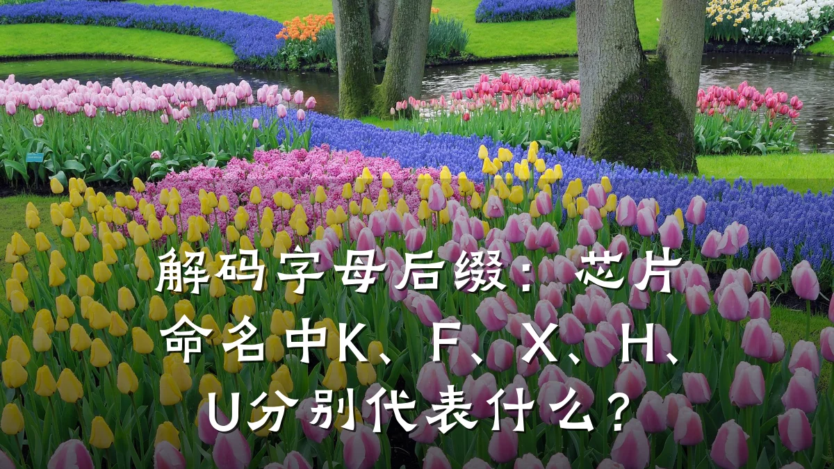 解码字母后缀:芯片命名中K、F、X、H、U分别代表什么?