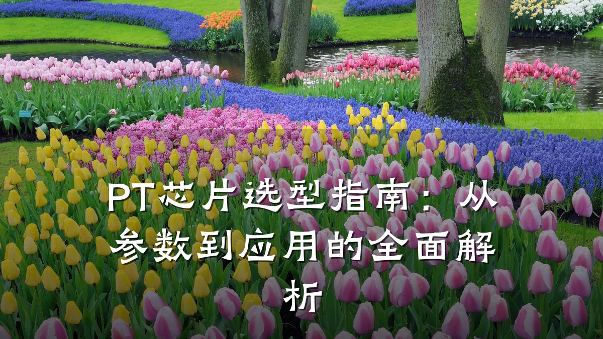 PT芯片选型指南:从参数到应用的全面解析
