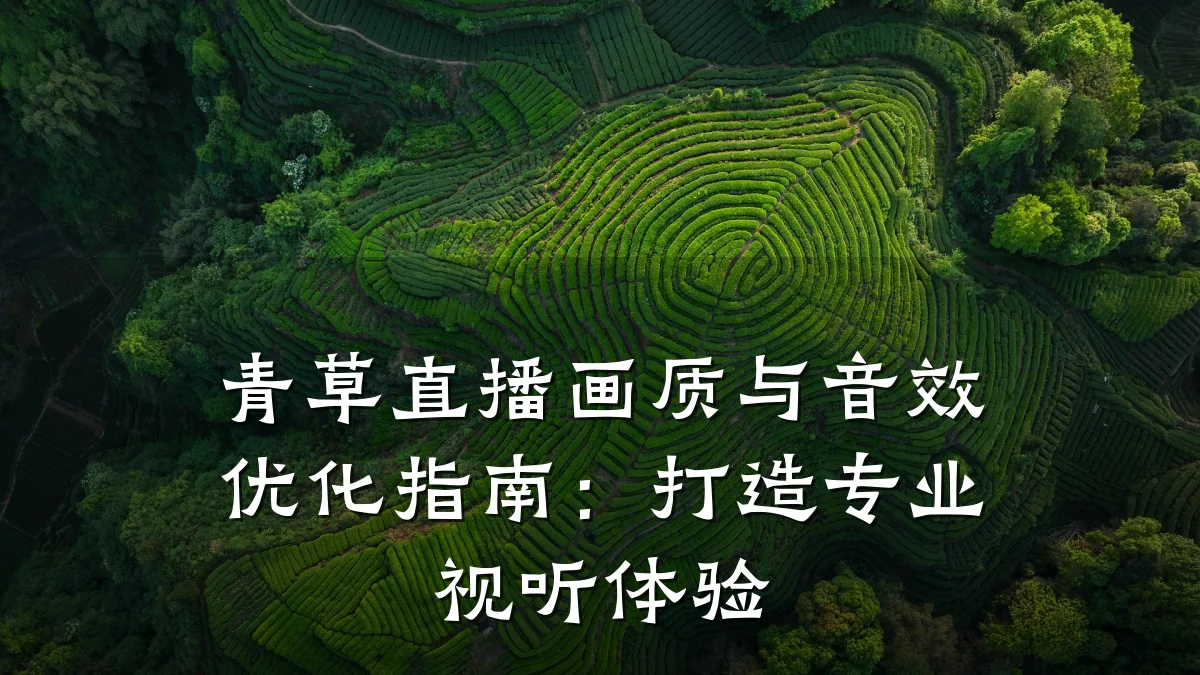 青草直播画质与音效优化指南:打造专业视听体验