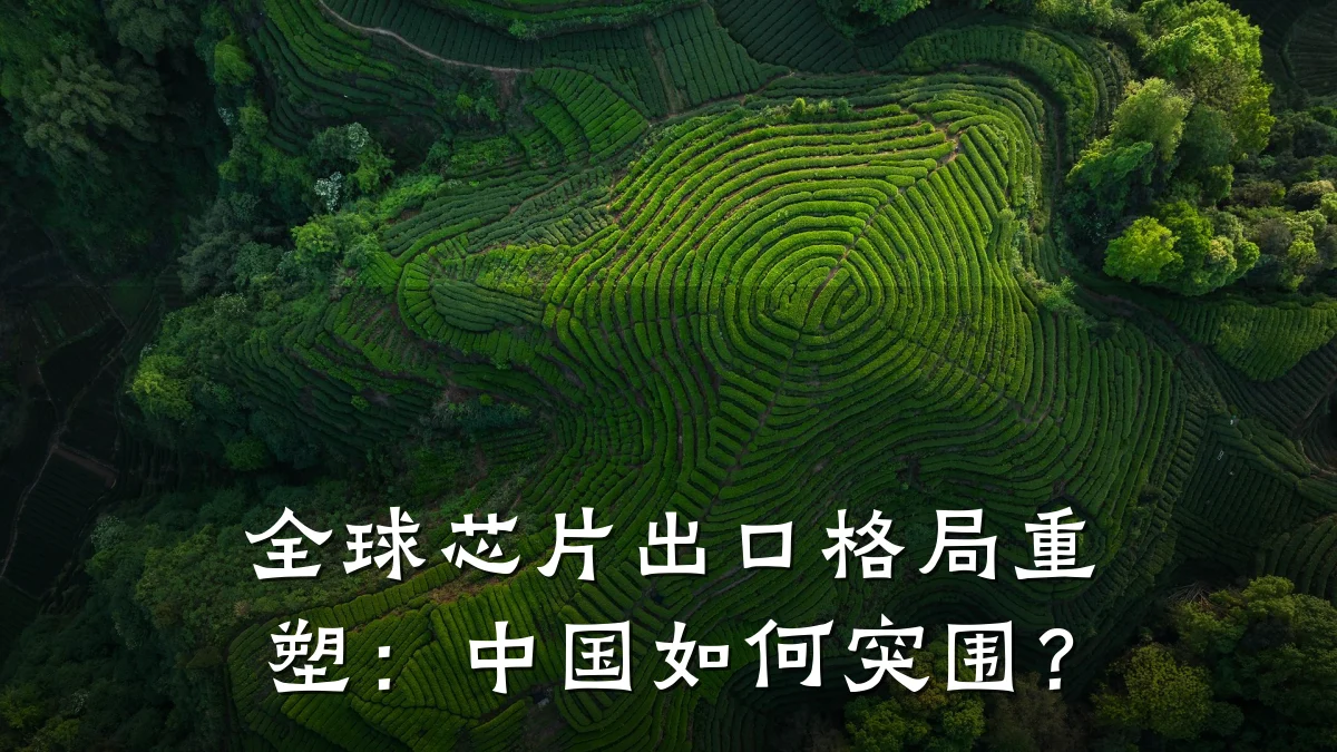 全球芯片出口格局重塑:中国如何突围?