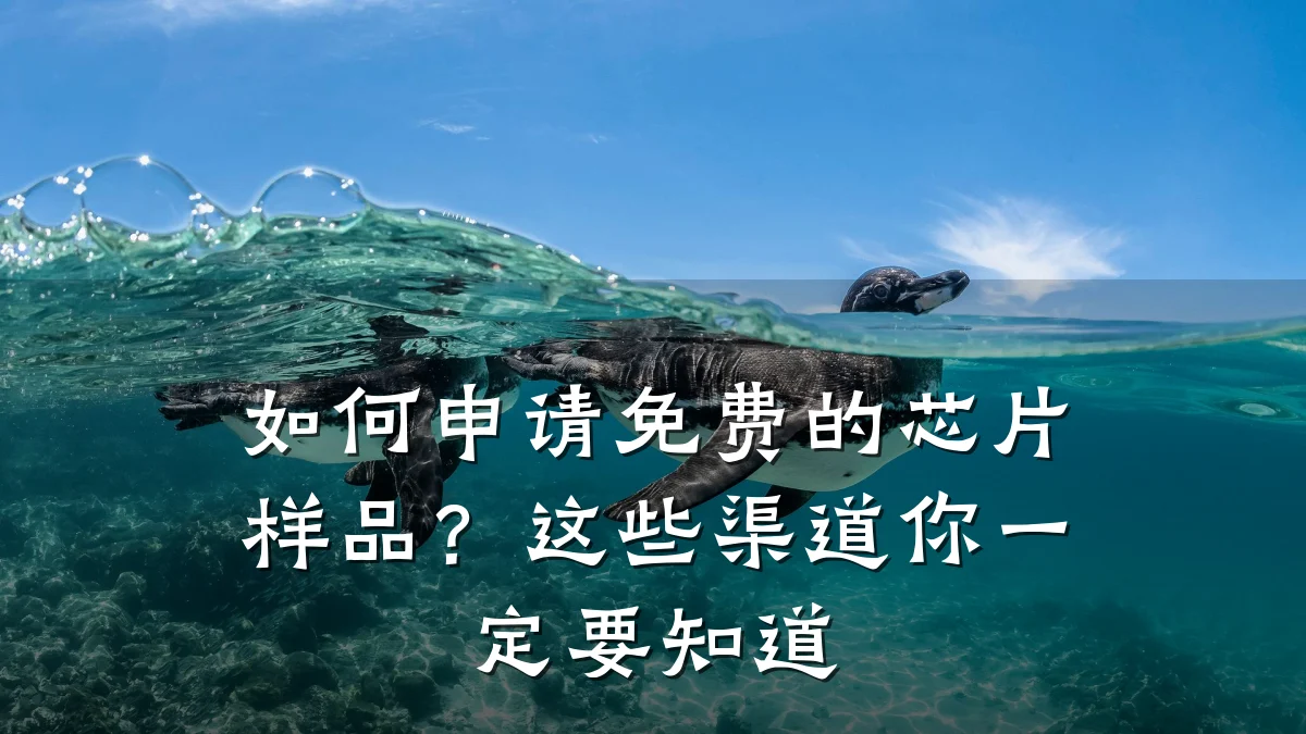 如何申请免费的芯片样品?这些渠道你一定要知道