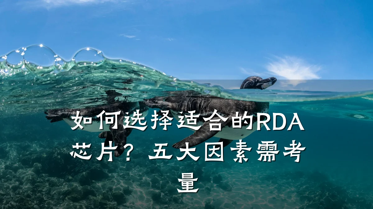如何选择适合的RDA芯片?五大因素需考量