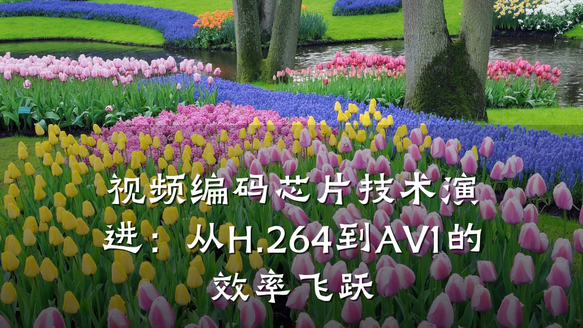 视频编码芯片技术演进:从H.264到AV1的效率飞跃