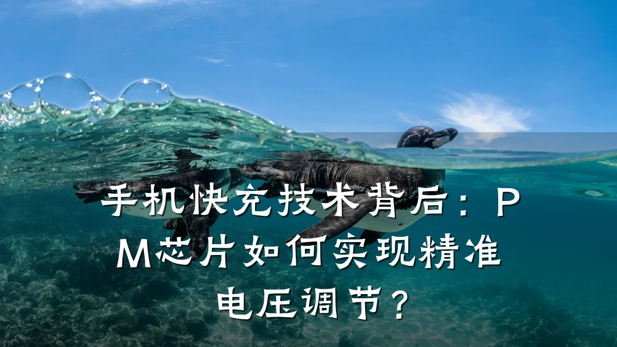 手机快充技术背后:PM芯片如何实现精准电压调节?