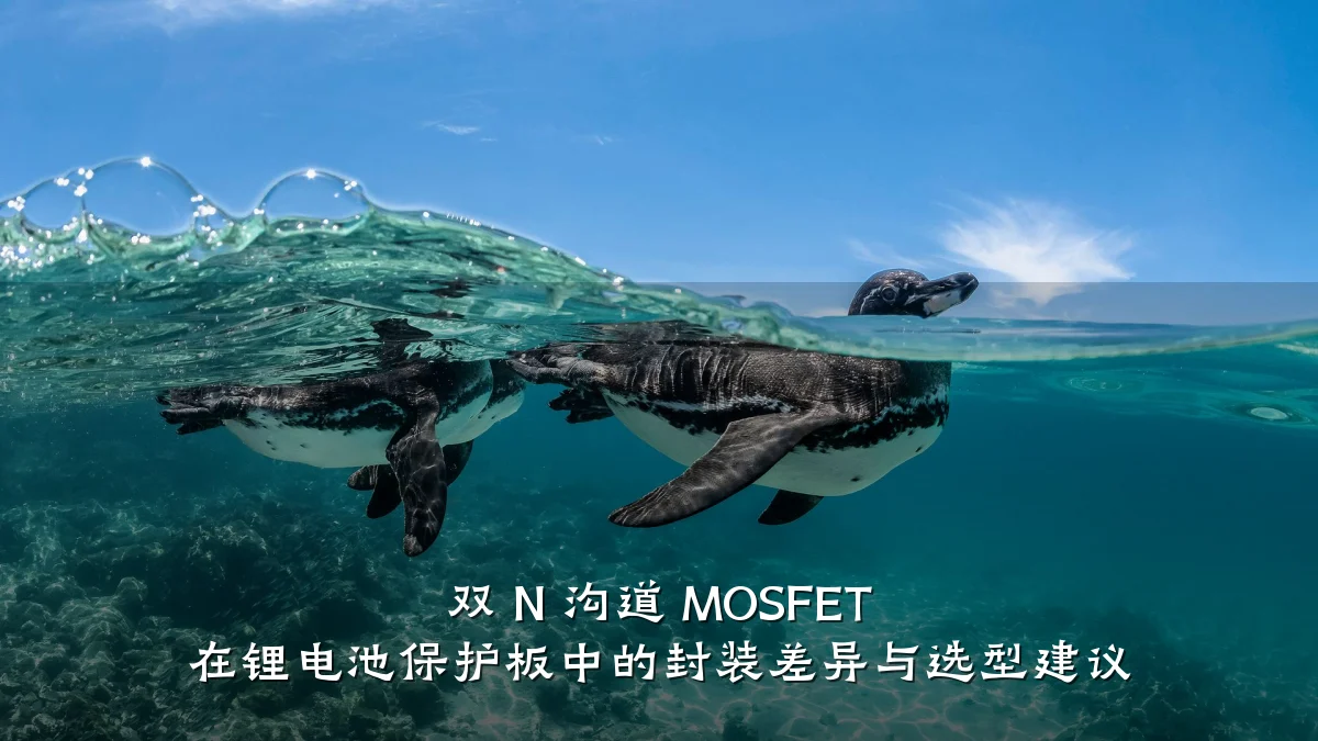 双 N 沟道 MOSFET 在锂电池保护板中的封装差异与选型建议