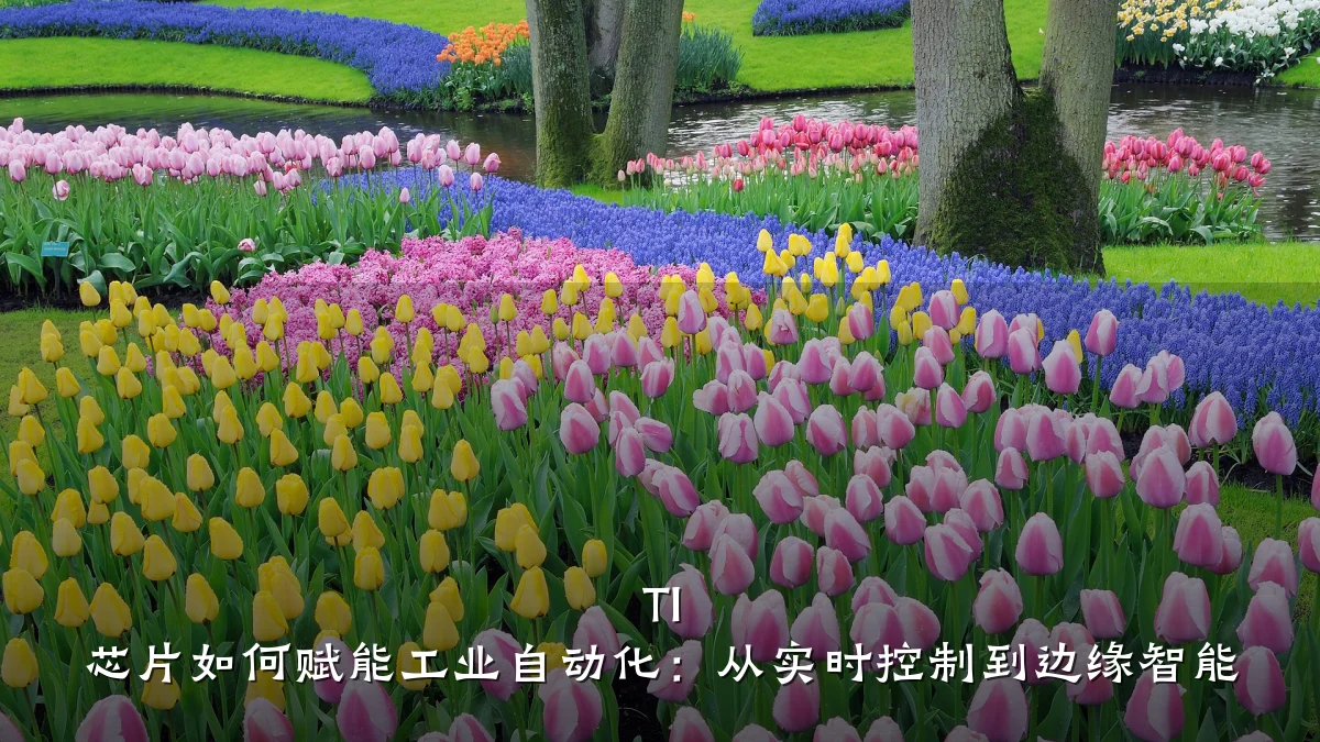 TI 芯片如何赋能工业自动化:从实时控制到边缘智能